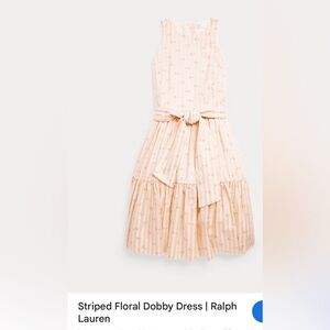 Ralph Lauren Blush Pink Striped Floral Dobby Dress